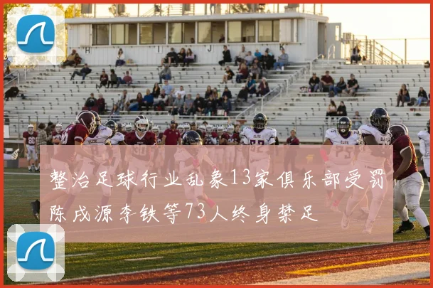 整治足球行业乱象13家俱乐部受罚陈戌源李铁等73人终身禁足