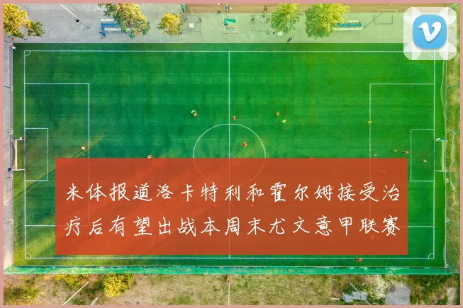 米体报道洛卡特利和霍尔姆接受治疗后有望出战本周末尤文意甲联赛